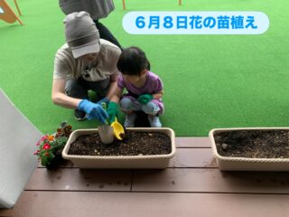 ６月８日こどもホーム

"花の苗植え"

花と緑の銀行さんからいただいたお花の苗を植えました🍀

お子さんに好きなお花の苗を選んでもらい、おかあさんと一緒にスコップを使いながら上手に植えてくれました🥰
沢山植えてくれてありがとう✨またアカリエに遊びに来た時はお花の様子も見ていってね⭐️

#立山町
#立山子育て支援センター

#